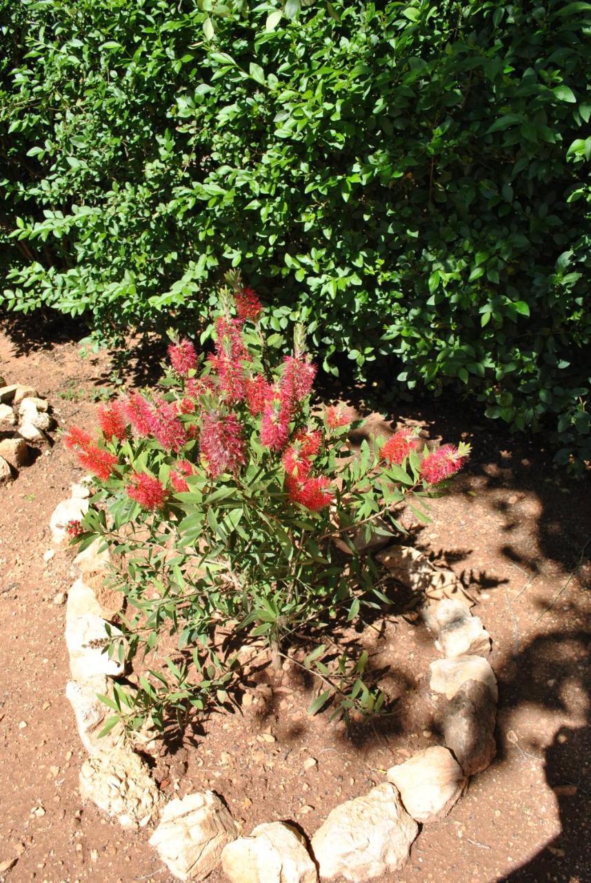 Casa Rural Ruiz Hernando Holiday home Villanueva Del Arzobispo